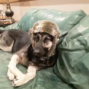 Meet your Posher, Shawn